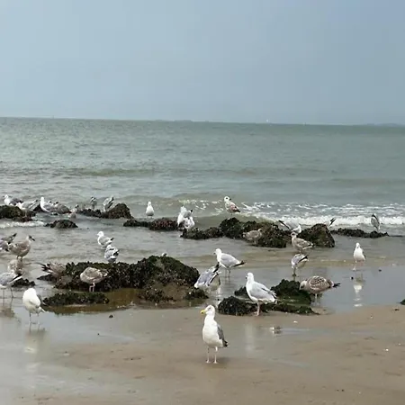 公寓 Modern With Stunning Views