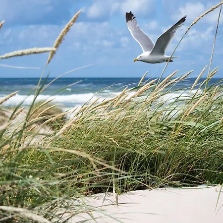 Modern With Stunning Views * Knokke-Heist